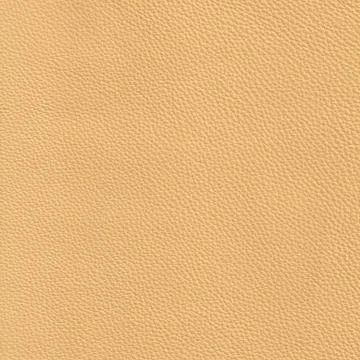 High resolution beige leather Stock Photos