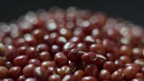 High Resolution Capture of Assorted Grains Stock Footage 319608928