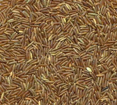 High resolution close-up background of brown rice variety 스톡 사진