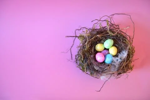 High-resolution close-up image of a nest filled with a variety of vibrant eggs 스톡 사진