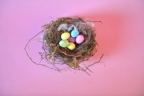 High-resolution close-up image of a nest filled with a variety of vibrant eggs Stock Photos