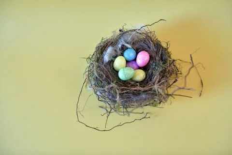 High-resolution close-up image of a nest filled with a variety of vibrant eggs 写真素材