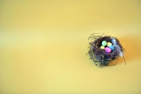 High-resolution close-up image of a nest filled with a variety of vibrant eggs 写真素材