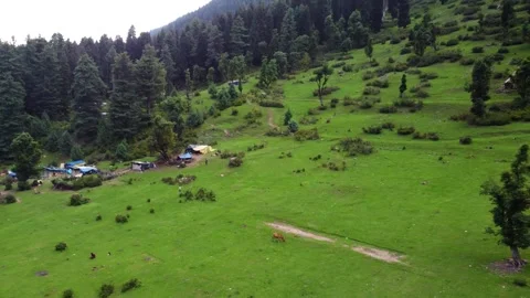 High-resolution drone footage showcasing rural life in a picturesque Himalayan Stock Footage 310656127