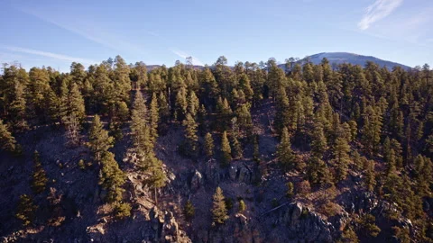 High-resolution drone view of craggy desert cliffs with scattered tree growth Stock Footage 332620842