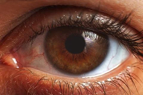 A high-resolution, extreme close-up of a human eye with a brown iris Stock Photos