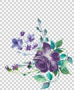 High-Resolution Flowers, Trees, and Natural Elements 스톡 일러스트