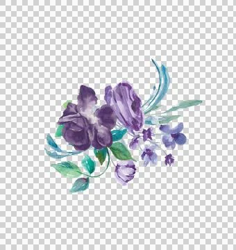 High-Resolution Flowers, Trees, and Natural Elements Stock Illustration