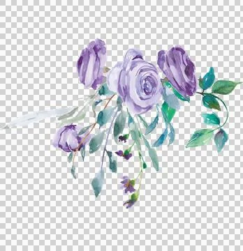 High-Resolution Flowers, Trees, and Natural Elements Stock Illustration