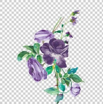 High-Resolution Flowers, Trees, and Natural Elements Stock Illustration