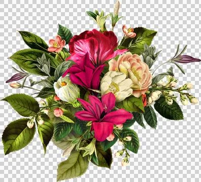 High-Resolution Flowers, Trees, and Natural Elements Stock Illustration