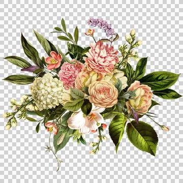 High-Resolution Flowers, Trees, and Natural Elements Stock Illustration