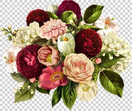 High-Resolution Flowers, Trees, and Natural Elements 스톡 일러스트