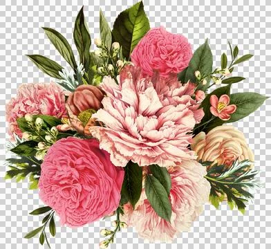 High-Resolution Flowers, Trees, and Natural Elements Stock Illustration