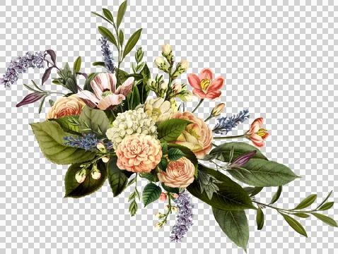 High-Resolution Flowers, Trees, and Natural Elements Stock Illustration