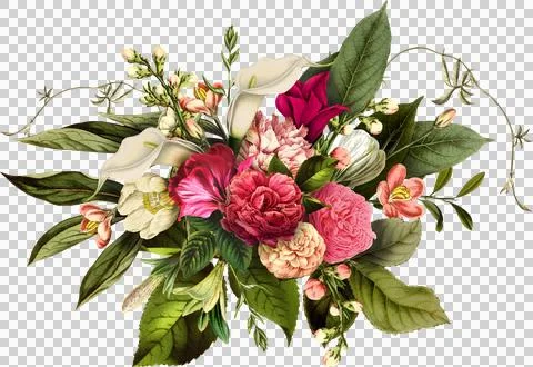 High-Resolution Flowers, Trees, and Natural Elements Stock Illustration