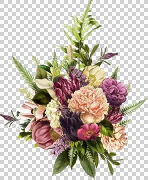 High-Resolution Flowers, Trees, and Natural Elements 스톡 일러스트