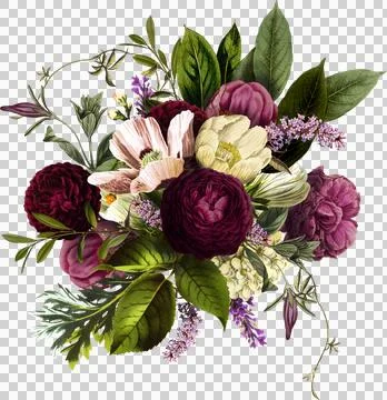 High-Resolution Flowers, Trees, and Natural Elements Stock Illustration
