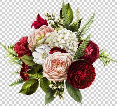 High-Resolution Flowers, Trees, and Natural Elements Stock Illustration