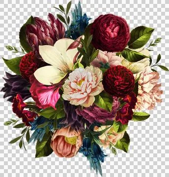 High-Resolution Flowers, Trees, and Natural Elements Stock Illustration