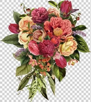 High-Resolution Flowers, Trees, and Natural Elements Stock Illustration