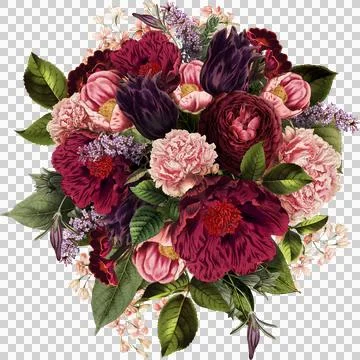High-Resolution Flowers, Trees, and Natural Elements 스톡 일러스트