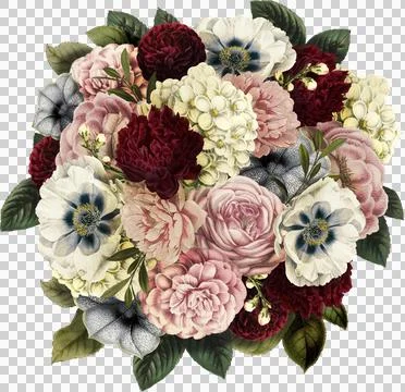 High-Resolution Flowers, Trees, and Natural Elements Stock Illustration