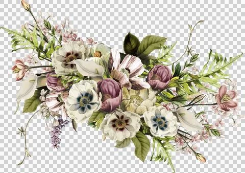 High-Resolution Flowers, Trees, and Natural Elements Stock Illustration
