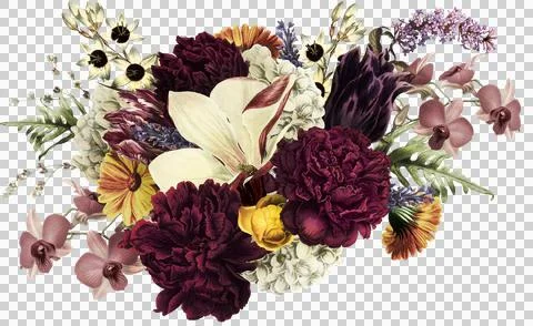 High-Resolution Flowers, Trees, and Natural Elements 스톡 일러스트