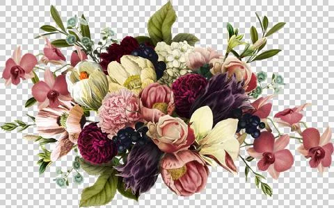 High-Resolution Flowers, Trees, and Natural Elements 스톡 일러스트