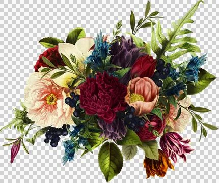 High-Resolution Flowers, Trees, and Natural Elements 스톡 일러스트