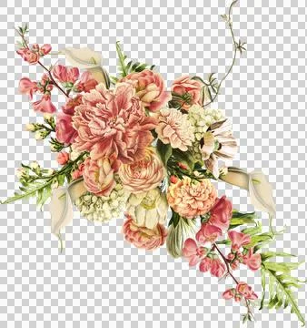 High-Resolution Flowers, Trees, and Natural Elements 스톡 일러스트