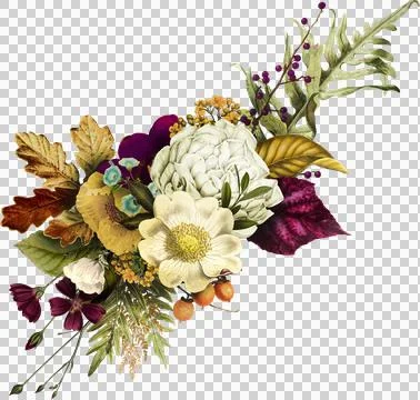 High-Resolution Flowers, Trees, and Natural Elements 스톡 일러스트