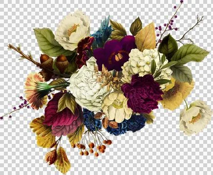 High-Resolution Flowers, Trees, and Natural Elements 스톡 일러스트