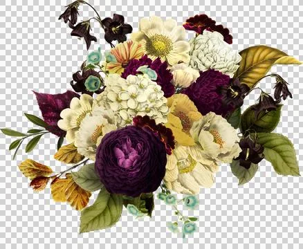 High-Resolution Flowers, Trees, and Natural Elements Stock Illustration
