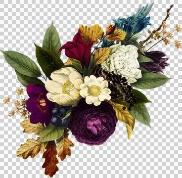 High-Resolution Flowers, Trees, and Natural Elements Stock Illustration