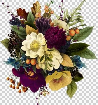 High-Resolution Flowers, Trees, and Natural Elements Stock Illustration