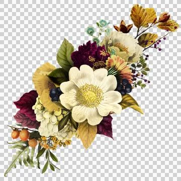 High-Resolution Flowers, Trees, and Natural Elements Stock Illustration