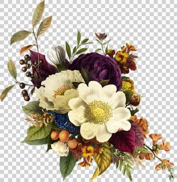 High-Resolution Flowers, Trees, and Natural Elements Stock Illustration