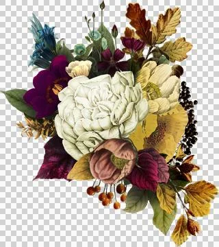 High-Resolution Flowers, Trees, and Natural Elements Stock Illustration