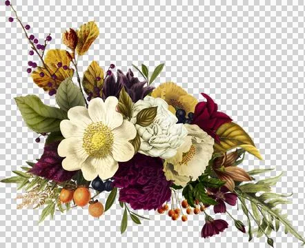 High-Resolution Flowers, Trees, and Natural Elements Stock Illustration