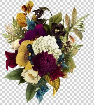 High-Resolution Flowers, Trees, and Natural Elements Stock Illustration