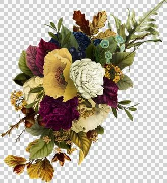 High-Resolution Flowers, Trees, and Natural Elements Stock Illustration