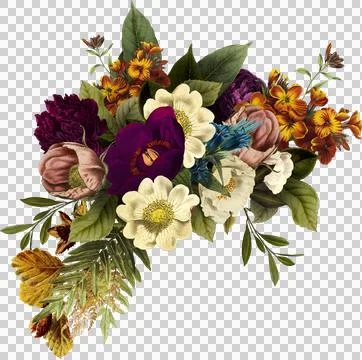 High-Resolution Flowers, Trees, and Natural Elements Stock Illustration