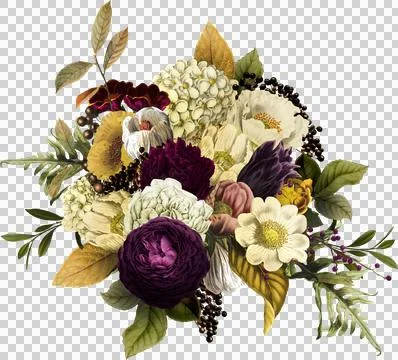 High-Resolution Flowers, Trees, and Natural Elements 스톡 일러스트