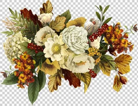 High-Resolution Flowers, Trees, and Natural Elements 스톡 일러스트