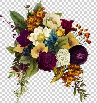 High-Resolution Flowers, Trees, and Natural Elements 스톡 일러스트