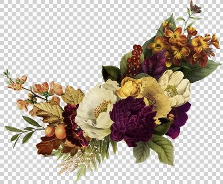 High-Resolution Flowers, Trees, and Natural Elements Stock Illustration