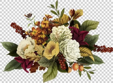 High-Resolution Flowers, Trees, and Natural Elements Stock Illustration