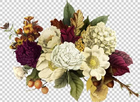 High-Resolution Flowers, Trees, and Natural Elements 스톡 일러스트